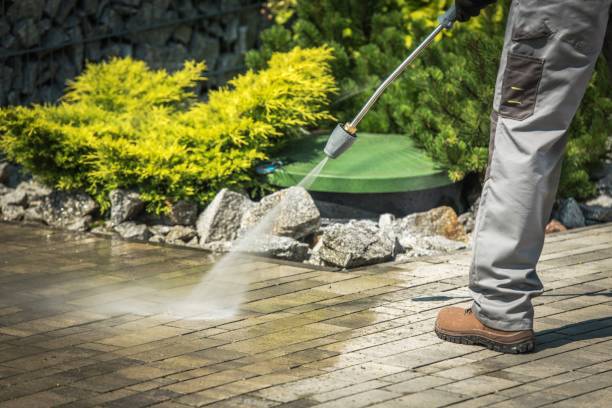 Best Boat and Dock Cleaning  in Flower Hill, NY